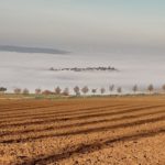 Bremberg im Nebel
