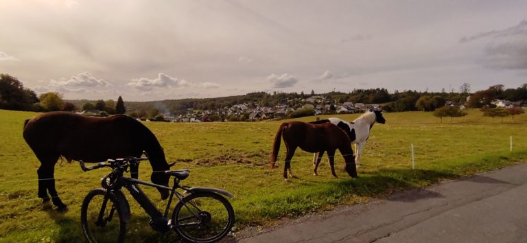 Windenblick